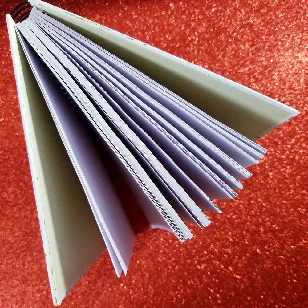 Journal / Diary‎